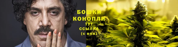 spice Карпинск