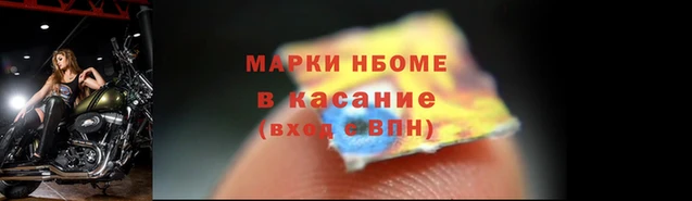 шишки Тайга