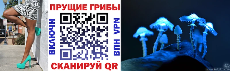 Галлюциногенные грибы ЛСД  Купить закладки  Княгинино 